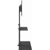 Gembird Tv Floor Stand 32'-55' Black - (TVS-55T-02)
