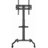 Gembird Tv Floor Stand With Caster Wheels (TILT) 32'-55' - (TVS-55T-01)