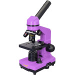 Levenhuk ����������� ��������� Rainbow 2L (AMETHYST)