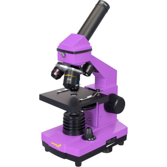 Levenhuk ����������� ��������� Rainbow 2L Plus (AMETHYST)