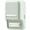NIIMBOT ������� ��������� �������� B21S (�����) - (B21S Mint Green)