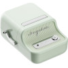 NIIMBOT ������� ��������� �������� B21S (�����) - (B21S Mint Green)