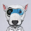 Nimmy Etui Cool&Cute 2.0 Dog Do Iphone 17 Szary - (N-KMLL-IP17-019A)
