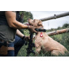 Tactical Airtag Beam Leather Black - (57983104008)