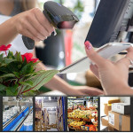 Qoltec Wireless barcode scanner 1D 2D | 2.4GHz - (50856)