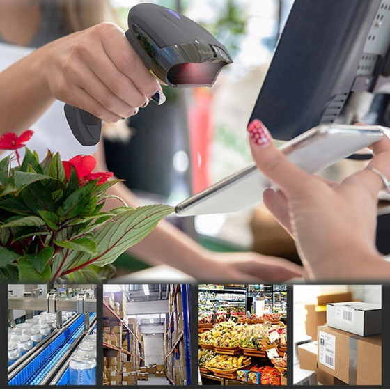 Qoltec Wireless barcode scanner 1D 2D | 2.4GHz - (50856)