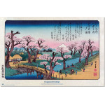 ERIK Cherry Trees in Bloom on the Embankment at Koganei Hiroshige poster - (8435747817352)