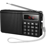 Hoco Portable Radio HI50 black