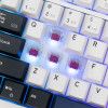 White Shark Mech Us Keyboard Red Switch GK-007251 Excalibur White - (EXCALIBUR-W)