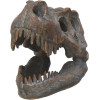 Nemesis Now: Tyrannosaurus - Rex Skull Freestanding (16cm) (D1245D5)