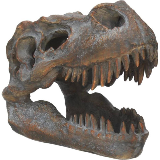 Nemesis Now: Tyrannosaurus - Rex Skull Freestanding (16cm) (D1245D5)