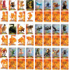As Lamnicard: Italian Brainrot - Collection Cards (1013-00596)