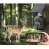 CamPark TC36 4G Trail Camera �� Live Video 2.5K, ������ �����, ��������� ���� & ��������� ������� (Sim ������������/IP66/10x Zoom) - (04959)