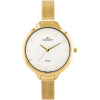 Bisset BSBE93 WOMEN'S Watch (zb569b) - (BSBE93GISX03BX)
