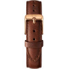 Daniel Wellington Classic Petite Women's Watch 32mm - (DW00100175)