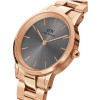 Daniel Wellington Iconic Link Grey Men's Watch (zw003a) - (DW00100332)
