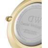 Daniel Wellington WOMEN'S Watch - Petite Evergold 28mm (zw501c) - (DW00100349)