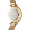 Daniel Wellington WOMEN'S Watch - Petite Evergold 32mm (zw500e) - (DW00100347)