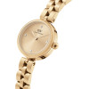 Daniel Wellington Women's Watch Elan Lumine Gold 22mm + Box (zw522b) - (DW00100718)