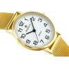 Perfect WOMEN'S Watch (zp893b) + Box - (F105-2-1)