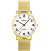 Perfect WOMEN'S Watch - Mesh (zp930b) - (F332)