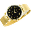 Perfect WOMEN'S Watch - Mesh (zp930e) + Box - (F332-04)
