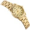 Casio WOMEN'S Watch (zd589c) + Box - (LTP-V001G-9B)