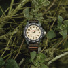 TIMEX Expedition Acadia Rugged Men's Watch (zt161b) + Box - (TW4B26500)