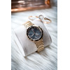 Tommy Hilfiger Eve Ladies' Watch (zf547a) - (1782277)