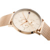 Tommy Hilfiger Jenna WOMEN'S Watch (zf509c) - (1781944)