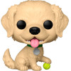 Funko Pop Figure Pets Golden Retriever - (889698883276)