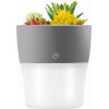 Setty Humidifier NP-18 grey