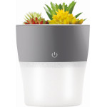 Setty Humidifier NP-18 grey