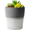 Setty Humidifier NP-18 grey