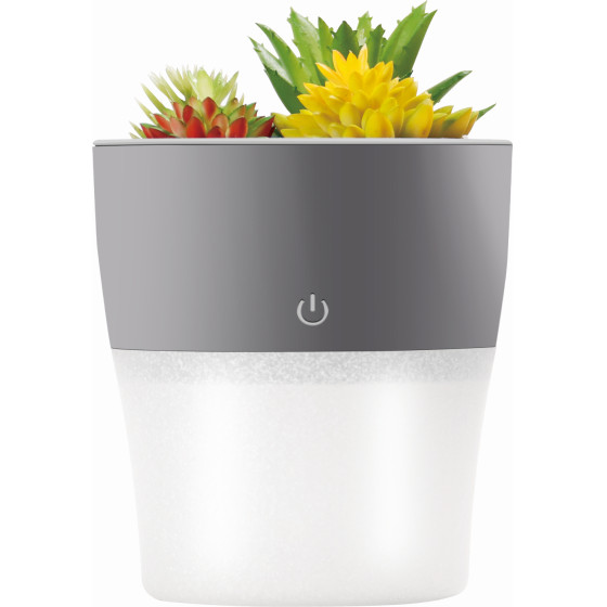 Setty Humidifier NP-18 grey