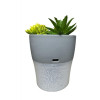 Setty Humidifier NP-18 grey