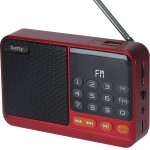 Setty Mini Fm Radio + Bluetooth Speaker SFM-01M
