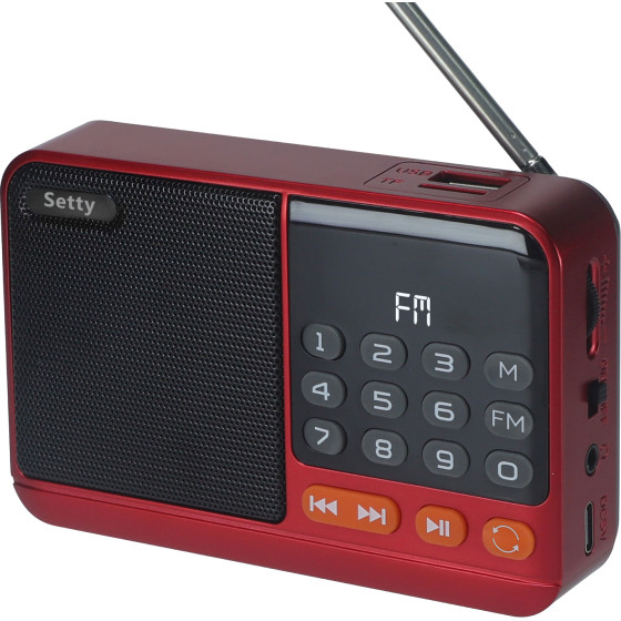 Setty Mini Fm Radio + Bluetooth Speaker SFM-01M