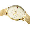 Tommy Hilfiger Jenna WOMEN'S Watch (zf509b) - (1781943)