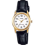 Casio Women's Watch + Box - (LTP-V001GL-7B)