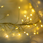 Forever Light String Light Golden Twig CLF-03z 480LEd Cold White 3m + 5m
