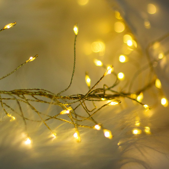 Forever Light String Light Golden Twig CLF-03z 480LEd Cold White 3m + 5m