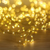 Forever Light String Light Golden Twig CLF-03z 480LEd Cold White 3m + 5m