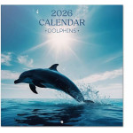 Erik ���������� ������ 2026 30X30�� DOLPHINS