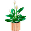Lego Botanicals Peace Lily - (11504)