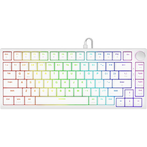 SAVIO Keyboard Gaming Usb Qwerty Us International - (Astral White JADE)
