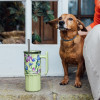 Quokka Umi - Stainless Steel Thermal Mug 720 Ml With Straw And Silicone Coaster (Green Tea) - (40089)