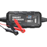 BYGD ��������� & ���������� ��������� ����������� 6V/2A 12V/10A - (F10000)