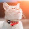 Spigen Pet Collar, black - AirTag - (AHP03106)