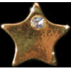 Strap Jewellery Charms /Rhinestone star, gold/ OEM